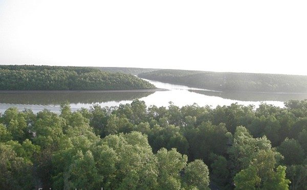bike tour to can gio mangrove forest